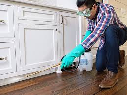 Best Real Estate Pest Inspections  in Linden, MI