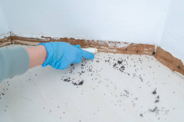 Best Organic or Eco-Friendly Pest Control  in Linden, MI